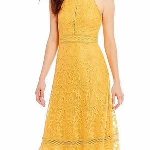 Antonio Melani Midi Crochet Dress